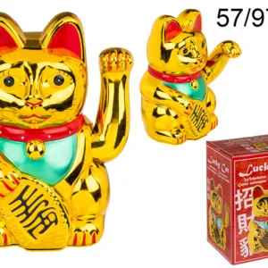 Cat chance XXL