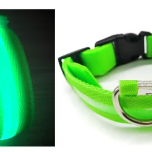 Collier LED vert pour chien – Taille S – 40 cm – Sécurité nocturne